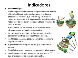 Indicadores
• Huella Ecológica
  Para una población determinada puede definirse como
  el área biológicamente productiva necesaria para
  producir los recursos que consume y absorber los
  desechos que genera dicha población, y dado que los
  habitantes de cualquier sociedad utilizan recursos de
  todo el mundo.
  Básicamente sus resultados están basados en la
  observación de los siguientes aspectos:
• La cantidad de hectáreas utilizadas para urbanizar,
  generar infraestructuras y centros de trabajo.
• Hectáreas necesarias para proporcionar el alimento
  vegetal necesario.
• Superficie necesaria para pastos que alimenten al
  ganado.
• Superficie marina necesaria para producir el pescado.
• Hectáreas de bosque necesarias para asumir el CO2
  que provoca nuestro consumo energético.
 