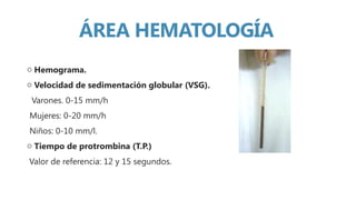 Vsg Lab Sustentación Prácticas Pre-Profesionales | PPT