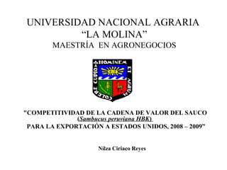 UNIVERSIDAD NACIONAL AGRARIA
“LA MOLINA”
MAESTRÍA EN AGRONEGOCIOS
"COMPETITIVIDAD DE LA CADENA DE VALOR DEL SAUCO
(Sambucus peruviana HBK)
PARA LA EXPORTACIÓN A ESTADOS UNIDOS, 2008 – 2009”
Nilza Ciriaco Reyes
 