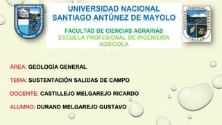 UNIVERSIDAD NACIONAL
SANTIAGO ANTÚNEZ DE MAYOLO
FACULTAD DE CIENCIAS AGRARIAS
ESCUELA PROFESIONAL DE INGENIERÍA
AGRÍCOLA
ÁREA: GEOLOGÍA GENERAL
TEMA: SUSTENTACIÓN SALIDAS DE CAMPO
DOCENTE: CASTILLEJO MELGAREJO RICARDO
ALUMNO: DURAND MELGAREJO GUSTAVO
 