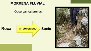 MORRENA FLUVIAL
Roca Suelo
INTEMPERISMO
Observamos arenas:
 