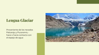 Lengua Glaciar
Proveniente de los nevados
Palcaraju y Pucaranra, -
hace o hacía contacto con
el espejo de agua
 