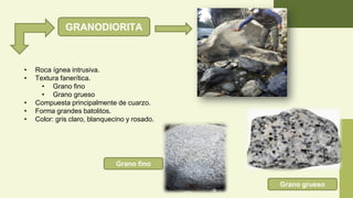 GRANODIORITA
• Roca ígnea intrusiva.
• Textura fanerítica.
• Grano fino
• Grano grueso
• Compuesta principalmente de cuarzo.
• Forma grandes batolitos.
• Color: gris claro, blanquecino y rosado.
Grano fino
Grano grueso
 