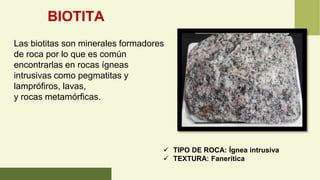 BIOTITA
Las biotitas son minerales formadores
de roca por lo que es común
encontrarlas en rocas ígneas
intrusivas como pegmatitas y
lamprófiros, lavas,
y rocas metamórficas.
✓ TIPO DE ROCA: Ígnea intrusiva
✓ TEXTURA: Fanerítica
 