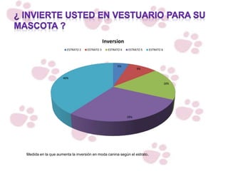 5%
9%
18%
28%
40%
Inversion
ESTRATO 2 ESTRATO 3 ESTRATO 4 ESTRATO 5 ESTRATO 6
Medida en la que aumenta la inversión en moda canina según el estrato.
 