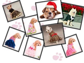 Empresa Happy Dog's.