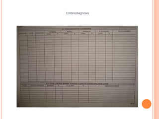 Embriodiagnosis 
 