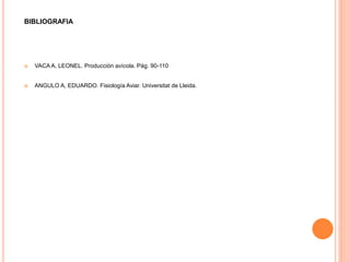 BIBLIOGRAFIA 
 VACA A, LEONEL. Producción avícola. Pág. 90-110 
 ANGULO A, EDUARDO. Fisiología Aviar. Universitat de Lleida. 
 