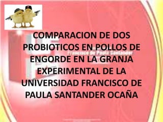 COMPARACION DE DOS PROBIOTICOS EN POLLOS DE ENGORDE EN LA GRANJA EXPERIMENTAL DE LA UNIVERSIDAD FRANCISCO DE PAULA SANTANDER OCAÑA 