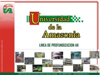 LINEA DE PROFUNDIZACION AII
 