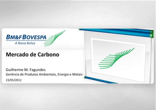 Mercado de Carbono

Guilherme M. Fagundes
Gerência de Produtos Ambientais, Energia e Metais
23/05/2012




                                                    1
 