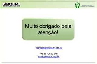 Aproveitamento químico das oportunidades oferecidas pela exploração do pré-sal.Pacto Nacional da Indústria Química
