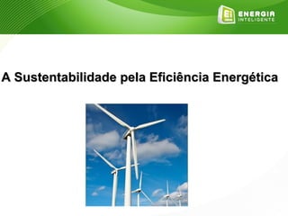 A Sustentabilidade pela Eficiência Energética
 