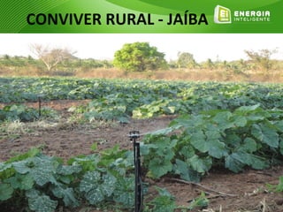 CONVIVER RURAL - JAÍBA
 