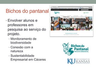 Bichos do pantanal
• Envolver alunos e
professores em
pesquisa ao serviço do
projeto.
• Monitoramento de
biodiversidade
• Conexão com a
natureza
• Sustentabilidade
Empresarial em Cáceres
 