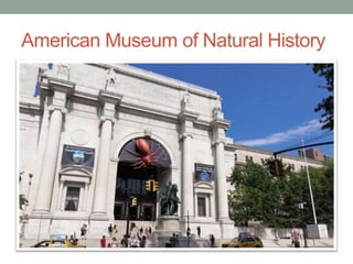 American Museum of Natural History
 