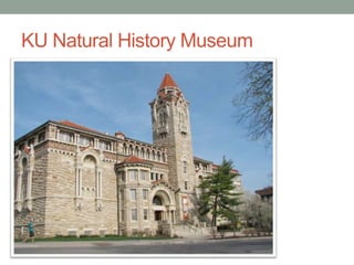 KU Natural History Museum
 