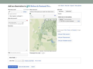 Parceria entre Universidade do Kansas e Projeto Bichos do Pantanal - Chris Brown