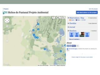 Parceria entre Universidade do Kansas e Projeto Bichos do Pantanal - Chris Brown