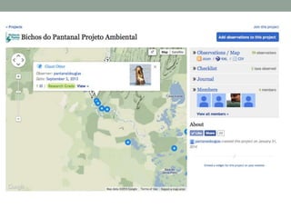 Parceria entre Universidade do Kansas e Projeto Bichos do Pantanal - Chris Brown