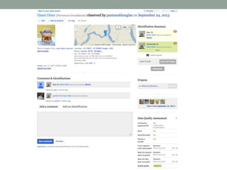 Parceria entre Universidade do Kansas e Projeto Bichos do Pantanal - Chris Brown