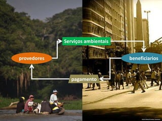 provedores
Serviços ambientais
beneficiarios
pagamento
Paulo Otávio/Creative Commons
 