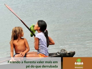 Fazendo a floresta valer mais em
pé do que derrubada
 