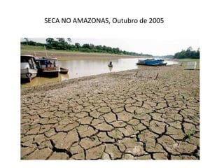SECA NO AMAZONAS, Outubro de 2005
 