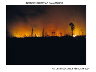 INCENDIOS FLORESTAIS NA AMAZONIA
NATURE MAGAZINE, 6 FEBRUARY 2014
 
