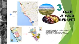 UBICACIÓN
SANTA CRUZ DE
FLORES-CAÑETE
EL DISTRITO DE SANTA CRUZ DE FLORES, ES UNO DE
LOS DIECISÉIS DISTRITOS
QUE CONFORMAN LA PROVINCIA DE CAÑETE.
ESTA UBICADO ALTURA DEL KM 95 DE LA PANAMERICA
SUR.
3
 