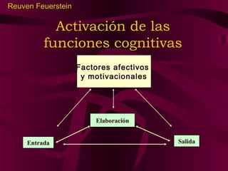 Reuven Feuerstein

Activación de las
funciones cognitivas
Factores afectivos
y motivacionales

Elaboración
Entrada

Salida

 