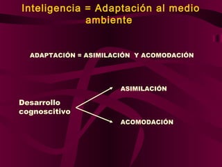 Inteligencia = Adaptación al medio
ambiente
ADAPTACIÓN = ASIMILACIÓN Y ACOMODACIÓN

ASIMILACIÓN

Desarrollo
cognoscitivo
ACOMODACIÓN

 