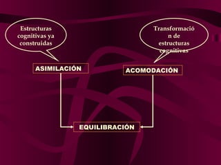 Estructuras
cognitivas ya
construidas

Transformació
n de
estructuras
cognitivas

ASIMILACIÓN

ACOMODACIÓN

EQUILIBRACIÓN

 