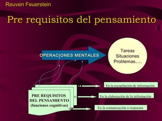 Reuven Feuerstein

Pre requisitos del pensamiento

OPERACIONES MENTALES

Tareas
Situaciones
Problemas.....

En la recopilación de información

PRE REQUISITOS
DEL PENSAMIENTO
(funciones cognitivas)

En la elaboración de la información
En la comunicación o respuesta

 