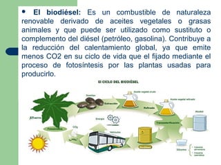   El biodiésel: Es un combustible de naturaleza
renovable derivado de aceites vegetales o grasas
animales y que puede ser utilizado como sustituto o
complemento del diésel (petróleo, gasolina). Contribuye a
la reducción del calentamiento global, ya que emite
menos CO2 en su ciclo de vida que el fijado mediante el
proceso de fotosíntesis por las plantas usadas para
producirlo.
 