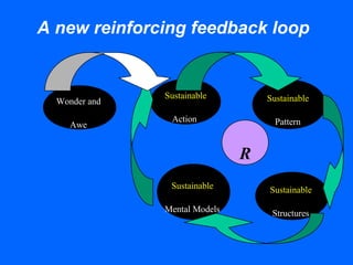 A new reinforcing feedback loop
Sustainable
Action
Sustainable
Pattern
Sustainable
Structures
Sustainable
Mental Models
R
Wonder and
Awe
 