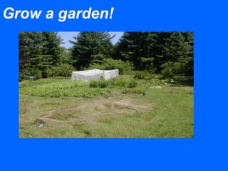 Grow a garden!
 