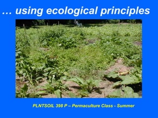 … using ecological principles
PLNTSOIL 398 P – Permaculture Class - Summer
 
