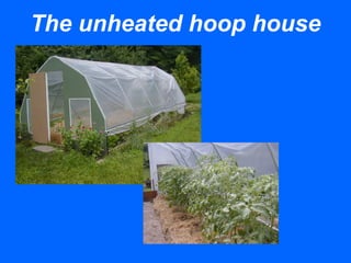 The unheated hoop house
 