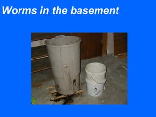 Worms in the basement
 