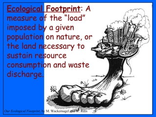 Ecological Footprint: A
measure of the “load”
imposed by a given
population on nature, or
the land necessary to
sustain resource
consumption and waste
discharge.
Our Ecological Footprint, by M. Wackernagel and W. Rees
 