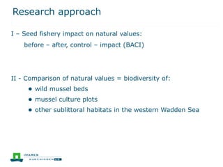 Sustainable Mussel Culture | PDF