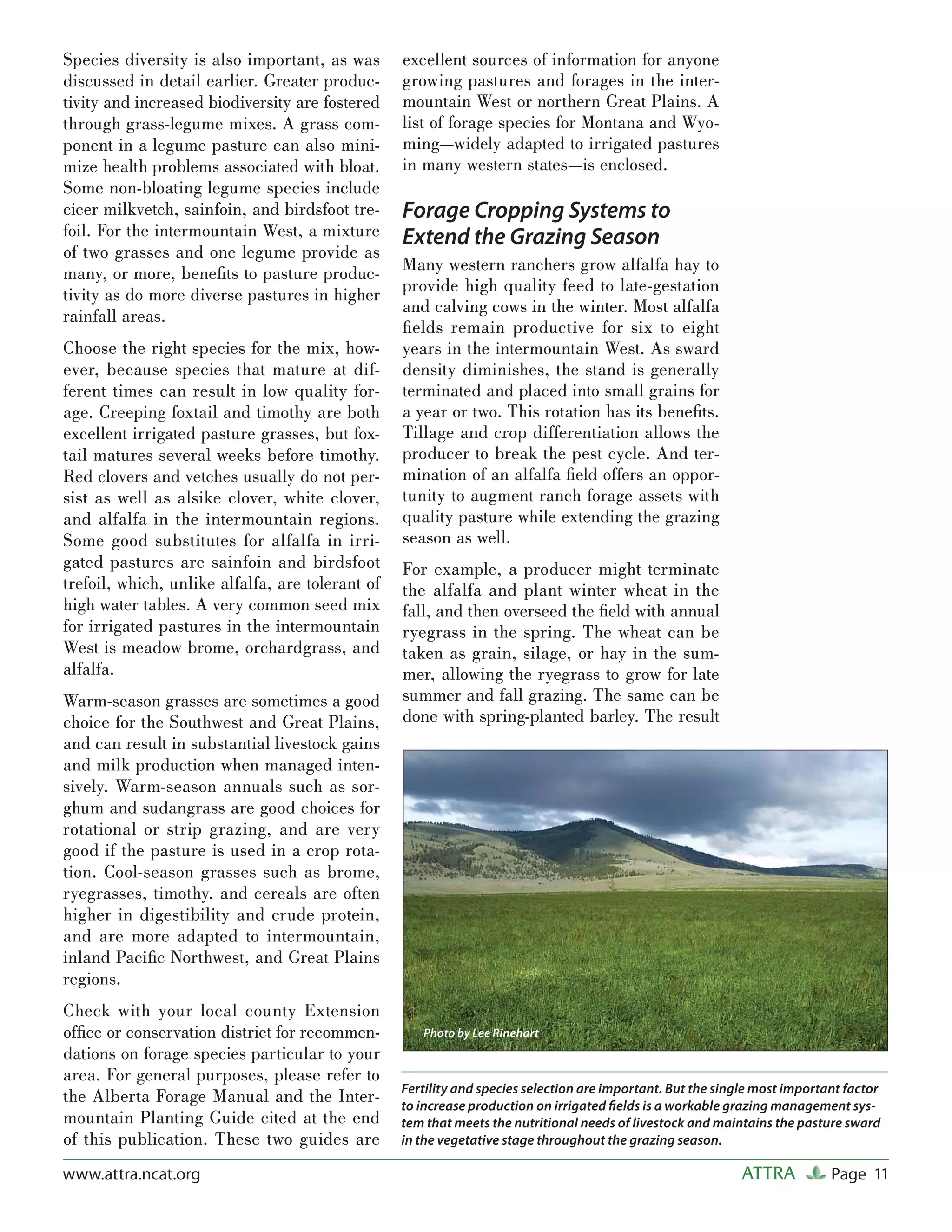 Species diversity is also important, as was       excellent sources of information for anyone
discussed in detail earlier. Greater produc-      growing pastures and forages in the inter-
tivity and increased biodiversity are fostered    mountain West or northern Great Plains. A
through grass-legume mixes. A grass com-          list of forage species for Montana and Wyo-
ponent in a legume pasture can also mini-         ming—widely adapted to irrigated pastures
mize health problems associated with bloat.       in many western states—is enclosed.
Some non-bloating legume species include
cicer milkvetch, sainfoin, and birdsfoot tre-     Forage Cropping Systems to
foil. For the intermountain West, a mixture       Extend the Grazing Season
of two grasses and one legume provide as
many, or more, beneﬁts to pasture produc-         Many western ranchers grow alfalfa hay to
tivity as do more diverse pastures in higher      provide high quality feed to late-gestation
                                                  and calving cows in the winter. Most alfalfa
rainfall areas.
                                                  ﬁelds remain productive for six to eight
Choose the right species for the mix, how-        years in the intermountain West. As sward
ever, because species that mature at dif-         density diminishes, the stand is generally
ferent times can result in low quality for-       terminated and placed into small grains for
age. Creeping foxtail and timothy are both        a year or two. This rotation has its beneﬁts.
excellent irrigated pasture grasses, but fox-     Tillage and crop differentiation allows the
tail matures several weeks before timothy.        producer to break the pest cycle. And ter-
Red clovers and vetches usually do not per-       mination of an alfalfa ﬁeld offers an oppor-
sist as well as alsike clover, white clover,      tunity to augment ranch forage assets with
and alfalfa in the intermountain regions.         quality pasture while extending the grazing
Some good substitutes for alfalfa in irri-        season as well.
gated pastures are sainfoin and birdsfoot         For example, a producer might terminate
trefoil, which, unlike alfalfa, are tolerant of   the alfalfa and plant winter wheat in the
high water tables. A very common seed mix         fall, and then overseed the ﬁeld with annual
for irrigated pastures in the intermountain       ryegrass in the spring. The wheat can be
West is meadow brome, orchardgrass, and           taken as grain, silage, or hay in the sum-
alfalfa.                                          mer, allowing the ryegrass to grow for late
Warm-season grasses are sometimes a good          summer and fall grazing. The same can be
choice for the Southwest and Great Plains,        done with spring-planted barley. The result
and can result in substantial livestock gains
and milk production when managed inten-
sively. Warm-season annuals such as sor-
ghum and sudangrass are good choices for
rotational or strip grazing, and are very
good if the pasture is used in a crop rota-
tion. Cool-season grasses such as brome,
ryegrasses, timothy, and cereals are often
higher in digestibility and crude protein,
and are more adapted to intermountain,
inland Paciﬁc Northwest, and Great Plains
regions.
Check with your local county Extension
ofﬁce or conservation district for recommen-         Photo by Lee Rinehart
dations on forage species particular to your
area. For general purposes, please refer to
                                                  Fertility and species selection are important. But the single most important factor
the Alberta Forage Manual and the Inter-          to increase production on irrigated ﬁelds is a workable grazing management sys-
mountain Planting Guide cited at the end          tem that meets the nutritional needs of livestock and maintains the pasture sward
of this publication. These two guides are         in the vegetative stage throughout the grazing season.

www.attra.ncat.org                                                                                           ATTRA          Page 11
 