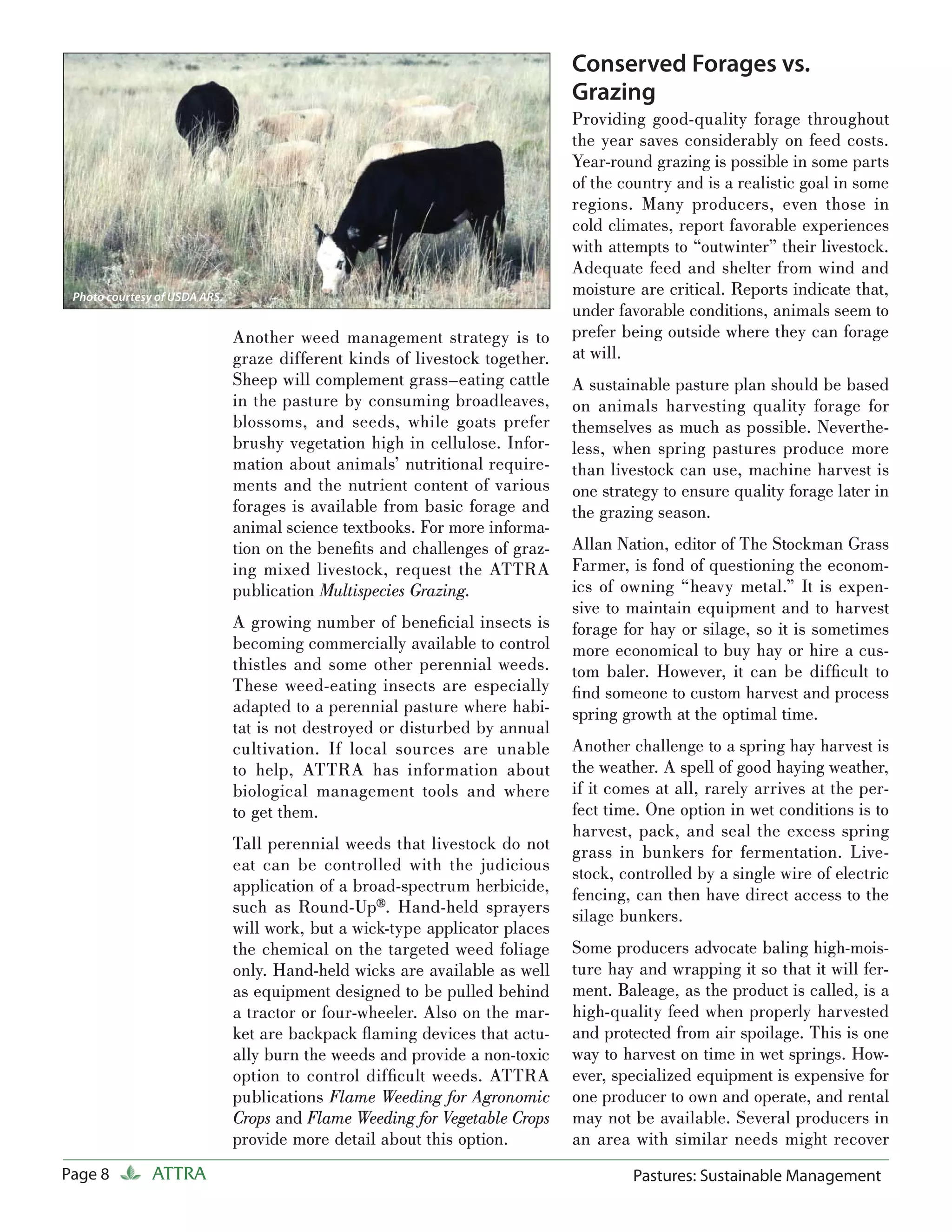 Conserved Forages vs.
                                                                              Grazing
                                                                              Providing good-quality forage throughout
                                                                              the year saves considerably on feed costs.
                                                                              Year-round grazing is possible in some parts
                                                                              of the country and is a realistic goal in some
                                                                              regions. Many producers, even those in
                                                                              cold climates, report favorable experiences
                                                                              with attempts to “outwinter” their livestock.
                                                                              Adequate feed and shelter from wind and
 Photo courtesy of USDA ARS.
                                                                              moisture are critical. Reports indicate that,
                                                                              under favorable conditions, animals seem to
                               Another weed management strategy is to         prefer being outside where they can forage
                               graze different kinds of livestock together.   at will.
                               Sheep will complement grass–eating cattle      A sustainable pasture plan should be based
                               in the pasture by consuming broadleaves,       on animals harvesting quality forage for
                               blossoms, and seeds, while goats prefer        themselves as much as possible. Neverthe-
                               brushy vegetation high in cellulose. Infor-    less, when spring pastures produce more
                               mation about animals’ nutritional require-     than livestock can use, machine harvest is
                               ments and the nutrient content of various      one strategy to ensure quality forage later in
                               forages is available from basic forage and     the grazing season.
                               animal science textbooks. For more informa-
                               tion on the beneﬁts and challenges of graz-    Allan Nation, editor of The Stockman Grass
                               ing mixed livestock, request the ATTRA         Farmer, is fond of questioning the econom-
                               publication Multispecies Grazing.              ics of owning “heavy metal.” It is expen-
                                                                              sive to maintain equipment and to harvest
                               A growing number of beneﬁcial insects is       forage for hay or silage, so it is sometimes
                               becoming commercially available to control     more economical to buy hay or hire a cus-
                               thistles and some other perennial weeds.       tom baler. However, it can be difﬁcult to
                               These weed-eating insects are especially       ﬁnd someone to custom harvest and process
                               adapted to a perennial pasture where habi-     spring growth at the optimal time.
                               tat is not destroyed or disturbed by annual
                               cultivation. If local sources are unable       Another challenge to a spring hay harvest is
                               to help, ATTRA has information about           the weather. A spell of good haying weather,
                               biological management tools and where          if it comes at all, rarely arrives at the per-
                               to get them.                                   fect time. One option in wet conditions is to
                                                                              harvest, pack, and seal the excess spring
                               Tall perennial weeds that livestock do not     grass in bunkers for fermentation. Live-
                               eat can be controlled with the judicious       stock, controlled by a single wire of electric
                               application of a broad-spectrum herbicide,     fencing, can then have direct access to the
                               such as Round-Up®. Hand-held sprayers          silage bunkers.
                               will work, but a wick-type applicator places
                               the chemical on the targeted weed foliage      Some producers advocate baling high-mois-
                               only. Hand-held wicks are available as well    ture hay and wrapping it so that it will fer-
                               as equipment designed to be pulled behind      ment. Baleage, as the product is called, is a
                               a tractor or four-wheeler. Also on the mar-    high-quality feed when properly harvested
                               ket are backpack ﬂaming devices that actu-     and protected from air spoilage. This is one
                               ally burn the weeds and provide a non-toxic    way to harvest on time in wet springs. How-
                               option to control difﬁcult weeds. ATTRA        ever, specialized equipment is expensive for
                               publications Flame Weeding for Agronomic       one producer to own and operate, and rental
                               Crops and Flame Weeding for Vegetable Crops    may not be available. Several producers in
                               provide more detail about this option.         an area with similar needs might recover
Page 8         ATTRA                                                                  Pastures: Sustainable Management
 