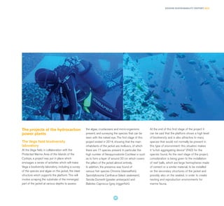 The projects at the hydrocarbon
power plants
The Vega field biodiversity
laboratory
At the Vega field, in collaboration with the
Protected Marine Area of the Islands of the
Cyclops, a project was put in place which
envisages a series of activities which will make
Vega a biodiversity laboratory, including a survey
of the species and algae on the jacket, the steel
structure which supports the platform. This will
involve scraping the substrate of the immerged
part of the jacket at various depths to assess
the algae, crustaceans and micro-organisms
present, and surveying the species that can be
seen with the naked eye. The first stage of this
project ended in 2014, showing that the main
inhabitants of the jacket are molluscs, of which
there are 17 species present. In particular the
high number of Neopycnodonte Cochlear is such
as to form a layer of around 20 cm which covers
the pillars of the jacket almost entirely.
In addition, the presence was found of
various fish species Chromis (damselfish),
Spondyliosoma Cantharus (black seabream),
Seriola Dumerili (greater amberjack) and
Balistes Capriscus (grey triggerfish).
At the end of this first stage of the project it
can be said that the platform shows a high level
of biodiversity and is also attractive to many
species that would not normally be present in
this type of environment: this situation makes
it “a fish aggregating device” (FAD) for the
species found. As the next stage of the project,
consideration is being given to the installation
of reef balls, which are large hemispheres made
of cement or a similar material, to be installed
on the secondary structures of the jacket and
possibly also on the seabed, in order to create
nesting and reproduction environments for
marine fauna.
EDISON SUSTAINABILITY REPORT 2014
47
 