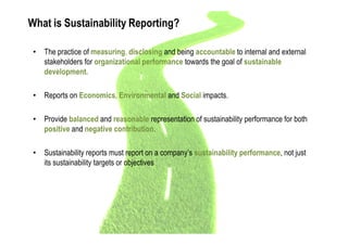 Corporate Sustainability Reporting | PDF