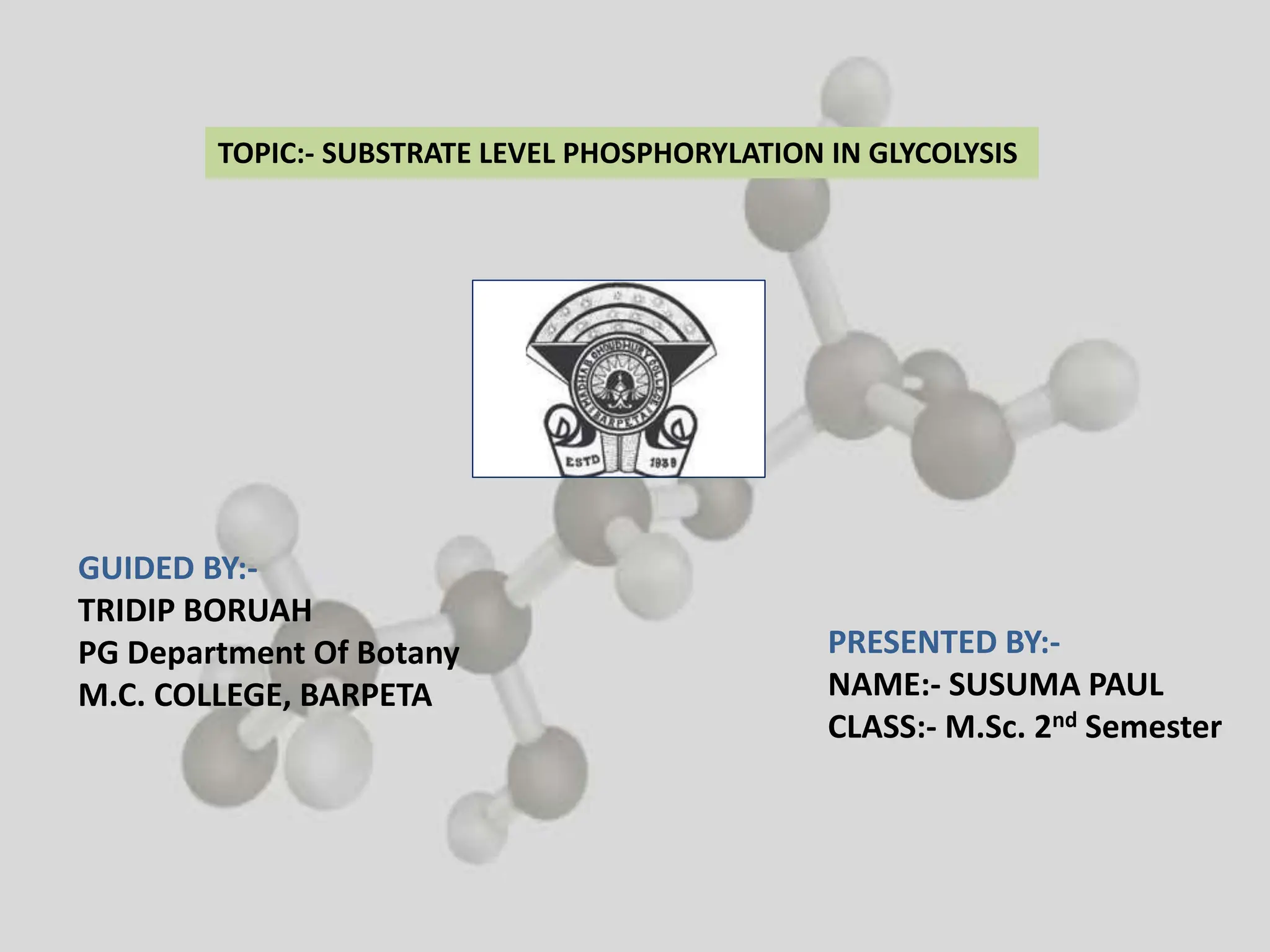 TOPIC:- SUBSTRATE LEVEL PHOSPHORYLATION IN GLYCOLYSIS
GUIDED BY:-
TRIDIP BORUAH
PG Department Of Botany
M.C. COLLEGE, BARPETA
PRESENTED BY:-
NAME:- SUSUMA PAUL
CLASS:- M.Sc. 2nd Semester