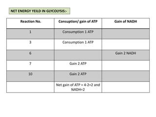 Reaction No. Consuption/ gain of ATP Gain of NADH
1 Consumption 1 ATP
3 Consumption 1 ATP
6 Gain 2 NADH
7 Gain 2 ATP
10 Gain 2 ATP
Net gain of ATP = 4-2=2 and
NADH=2
NET ENERGY YEILD IN GLYCOLYSIS:-
 
