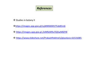 References
 Studies in botany II
https://images.app.goo.gl/cyjMMW6R1TFab85m6
 https://images.app.goo.gl./JzMNzM9uTQDwM8ZY8
 https://www.slideshare.net/PrakashPokhrel1/glycolysis-61531085
 
