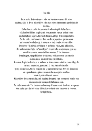 Vida mía:

         Estas ansias de tenerte cerca mío, me impulsaron a escribir estas
 palabras. Ellas te llevan mis sentires y los más puros sentimientos que brotan de
                                        mi alma.
          En las frescas tardecitas, cuando el sol se despide de las flores,
       exhalando el último suspiro; mis pensamientos vuelan hacia ti como
      una bandada de pájaros, buscando tu calor, abrigo de mis inquietudes.
       Por los valles y en los cerros flota una brisa juguetona que merodea
        mi ventana buscándote; y al no verte se aleja con los brazos caídos
      de esperas y la mirada perdida en el horizonte rojizo, más allá del sol.
   Mis sentires convertidos en “nostalgias”, recorren los senderos que ayer nos
            envolvieran en su aroma de blanco azahar. Y las añoranzas
      de tu imagen, van poblándose de suspiros, ocultándose en las sombras
                      silenciosas de una noche más en solitario...
Y cuando despierta el astro, a la mañana, te siento en mis adentros como ráfaga de
              ternura amanecida, que nace a la vida pintando de soles
 todos los rincones. Sé que estás en mi. Sé que me recuerdas. Pero los momentos
            de espera tienen espinas en sus aristas y despiden sombras
                            sobre el pastizal de mis amores.
Mis sentires llevan en sus alas, mis palabras de canela y un poema que escribo con
                    mis suspiros en los rayos de la luna de abril.
No tardes amor mío. Tus rincones en la casa y el hueco en mi almohada te esperan
   con ansias para desleír en tus labios la esencia de este amor que tú conoces.
                                     Siempre tuya...




                                                                               53
 